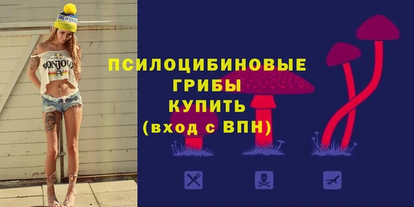 ГАЛЛЮЦИНОГЕННЫЕ ГРИБЫ Горнозаводск