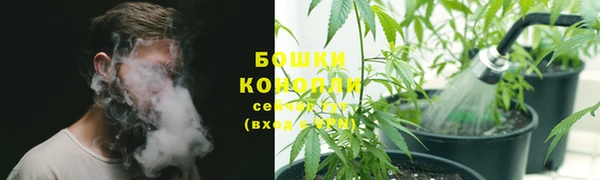 ГАЛЛЮЦИНОГЕННЫЕ ГРИБЫ Горнозаводск