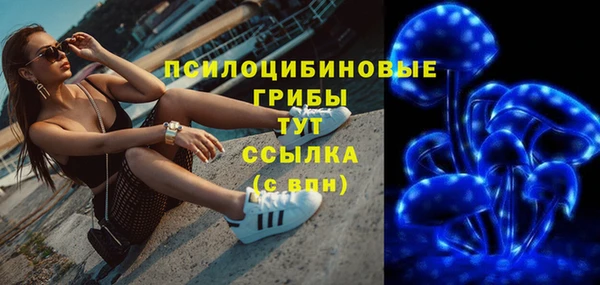 стафф Горно-Алтайск