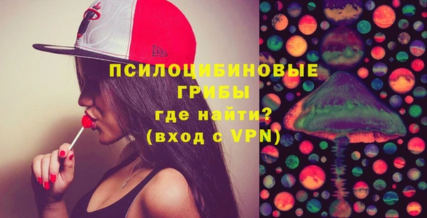 стафф Горно-Алтайск