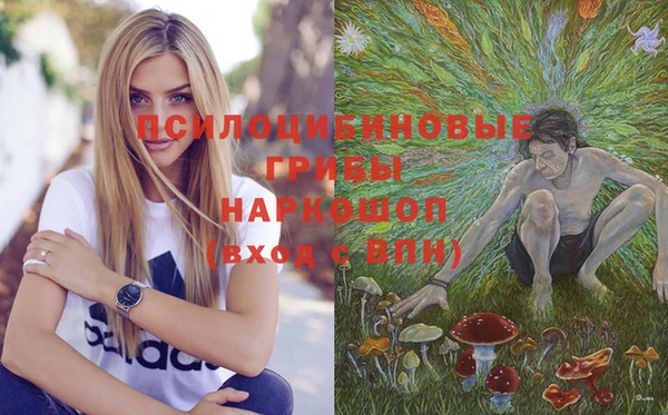 стафф Горно-Алтайск