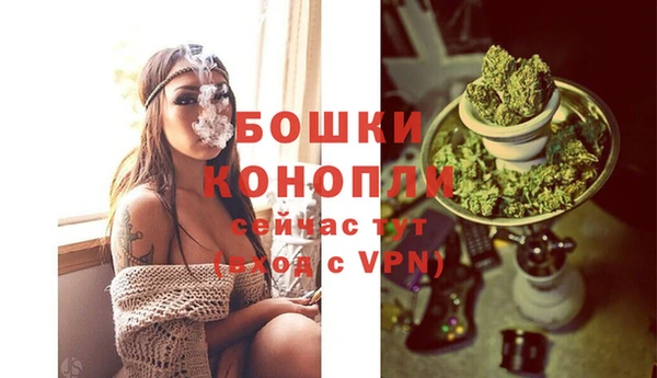 ГАЛЛЮЦИНОГЕННЫЕ ГРИБЫ Горнозаводск